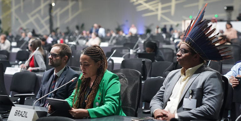 Secretária Nacional de Povos e Comunidades Tradicionais, Edel Moraes, apresenta a proposta brasileira em Plenária. Foto: MMA